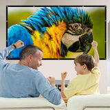 Portable Outdoor Movie Projector Screen - 150"