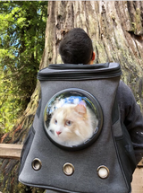 Cat Carrier Bubble Backpack