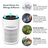 Hepa Air Purifier with Filter